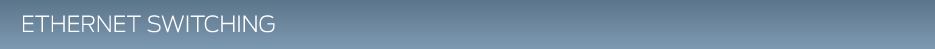 Ethernet Switching Forum