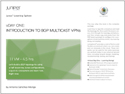 vDay One: Introduction to BGP Multicast VPNs