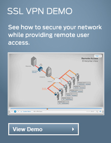 SSL VPN Demo