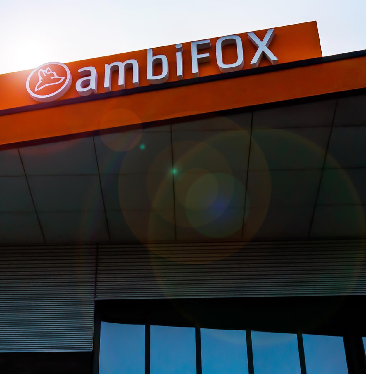 ambiFOX Image