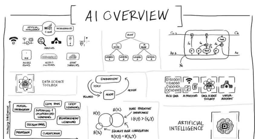 AI Overview