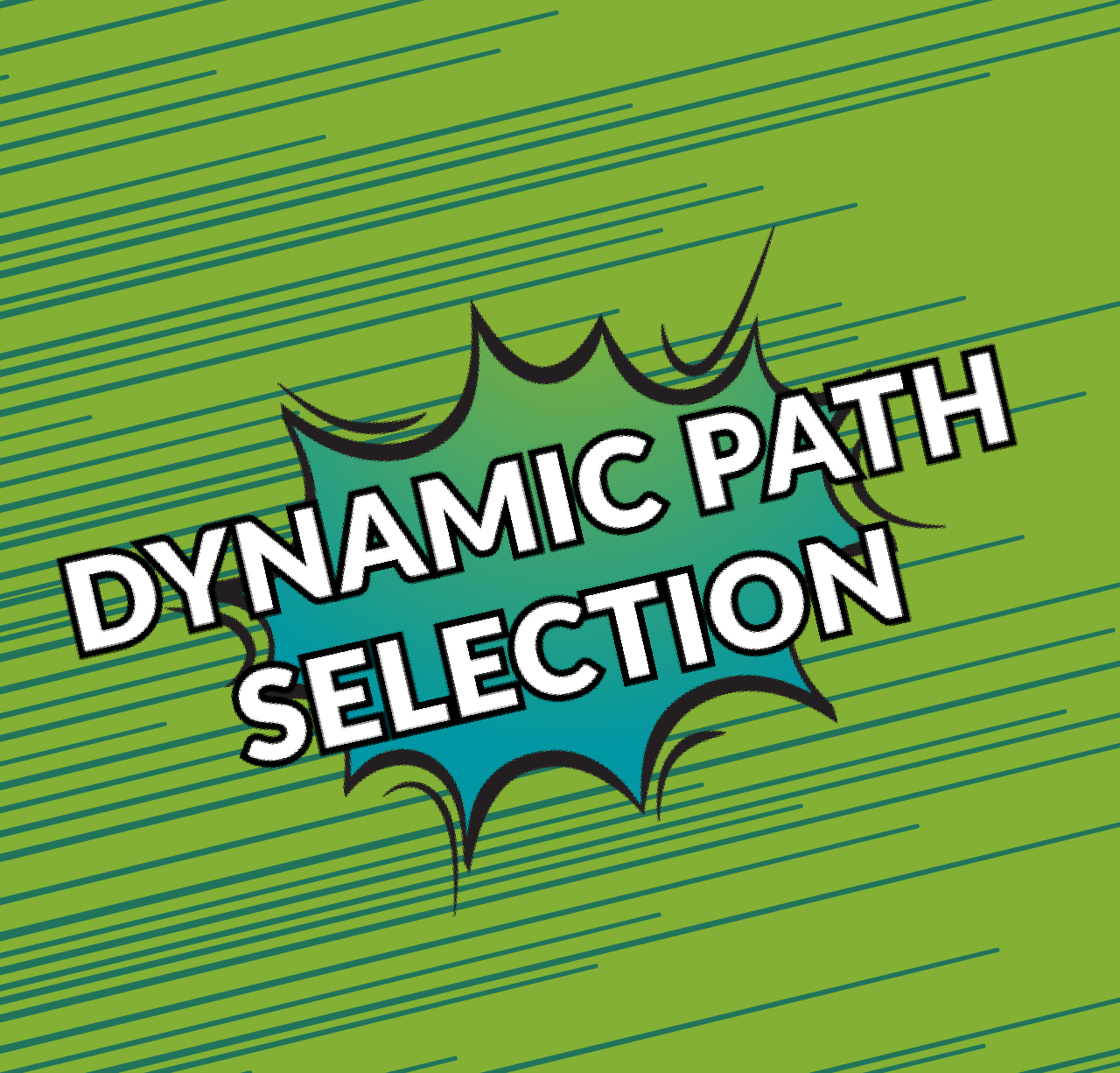 Dynamic Path Selection