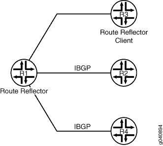 RR 案例的拓扑结构