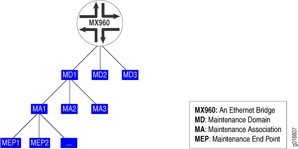 网桥、维护域、维护关联和 MEP 之间的关系