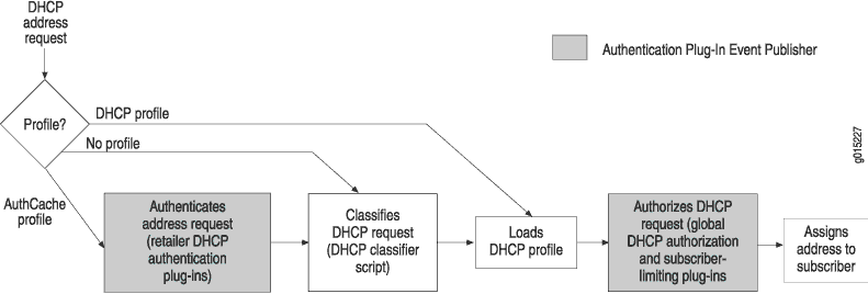 DHCP Address Assignment