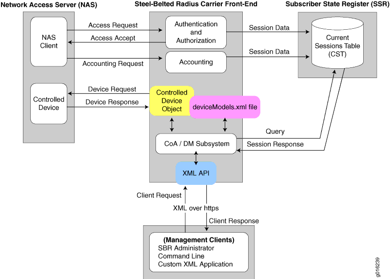 CoA/DM Structural Overview