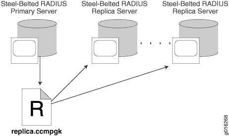 Publication and Distribution of Configuration Packages
in a Replication Environment