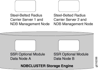 Basic “Starter Kit” Steel-Belted Radius
Carrier Session State Register Cluster