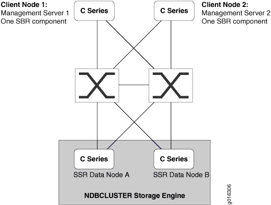 SSR Cluster with Redundant Network