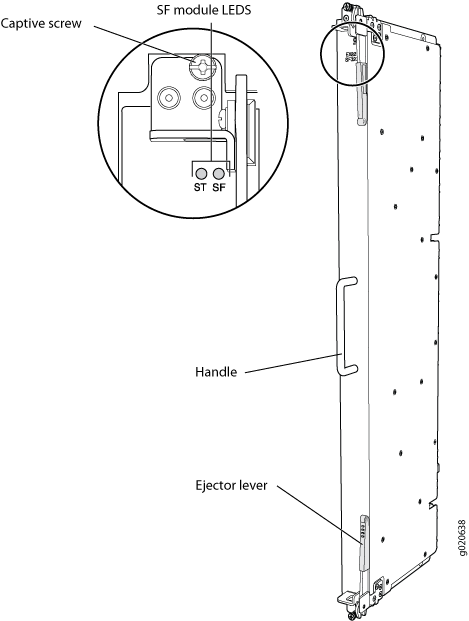 SF Module in an EX8216
Switch