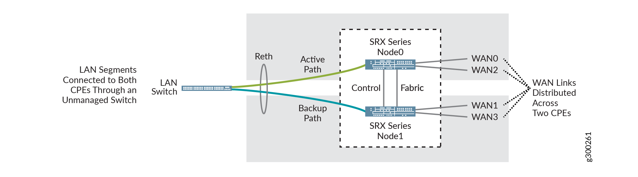 Dual CPE Devices
- SRX Series Devices