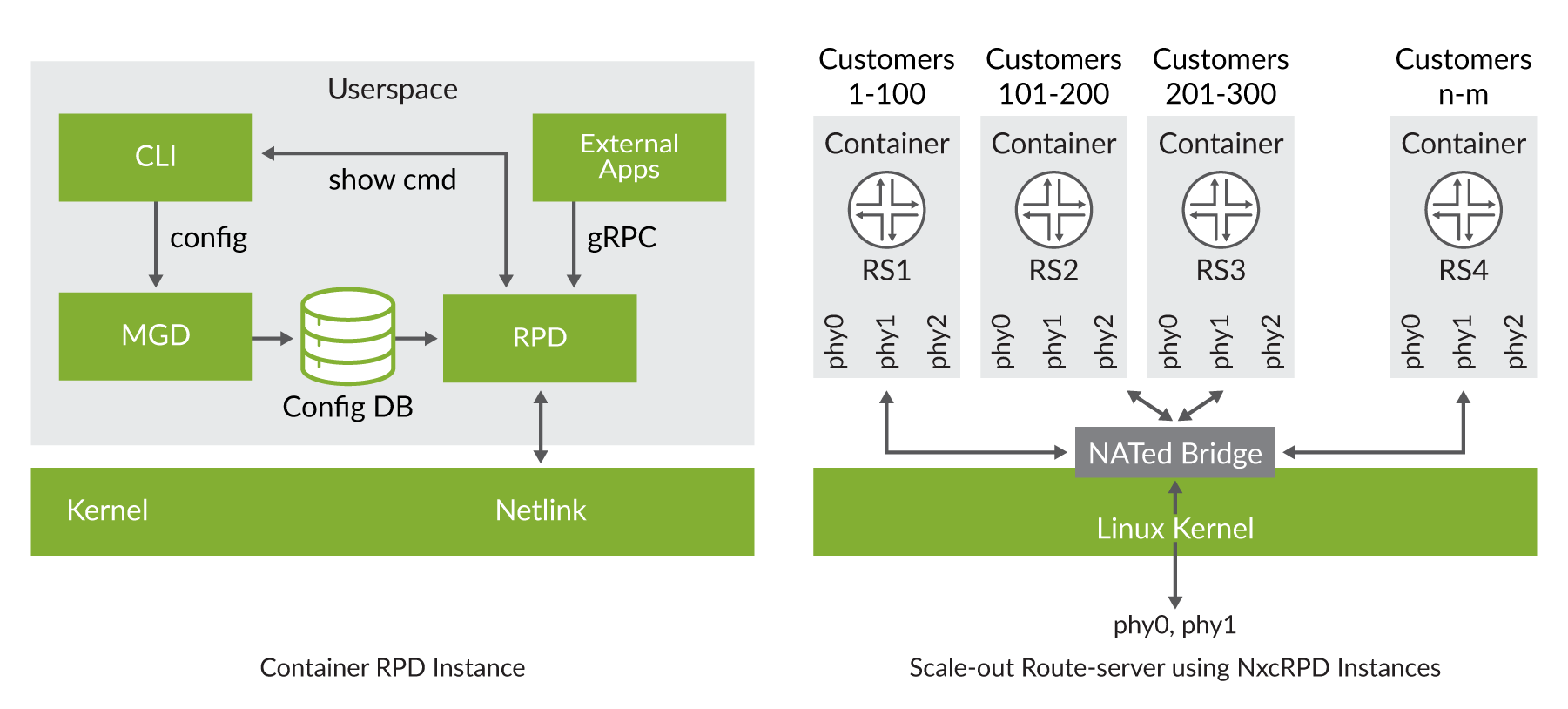 cRPD y cRPD como un servidor de ruta con escalabilidad horizontal