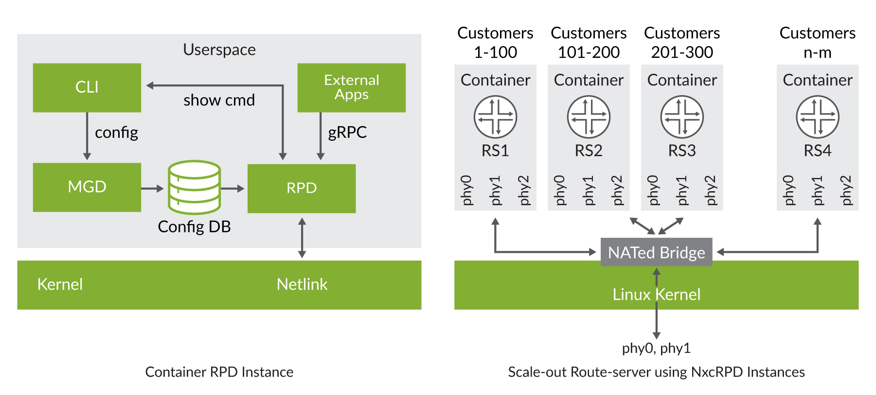 cRPD and
cRPD as a Scaled-out Route Server