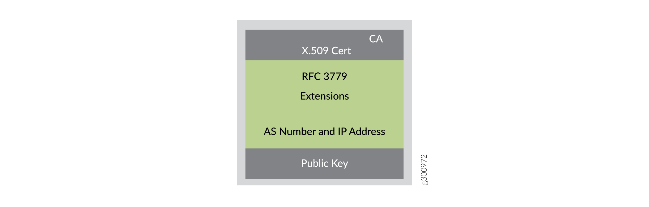 The X.509
Certificate for RPKI