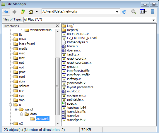 File Manager Window
