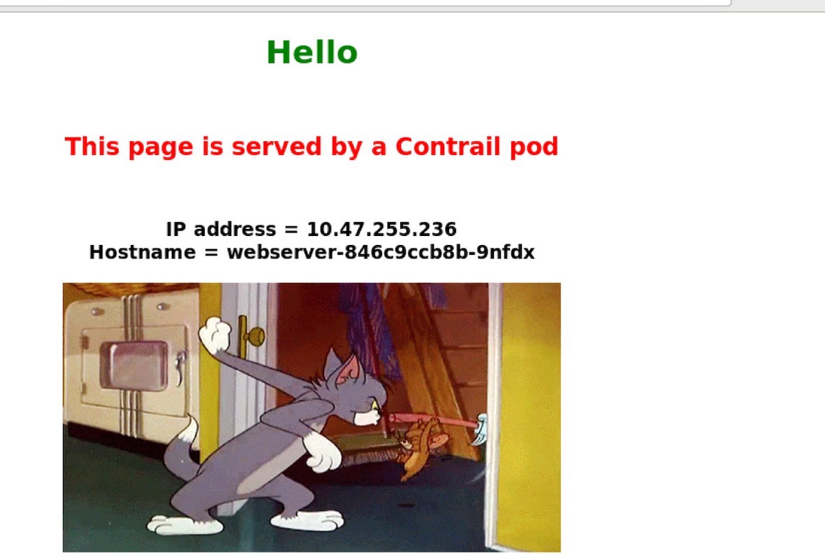 Accessing www.juniper.net from the Internet Host