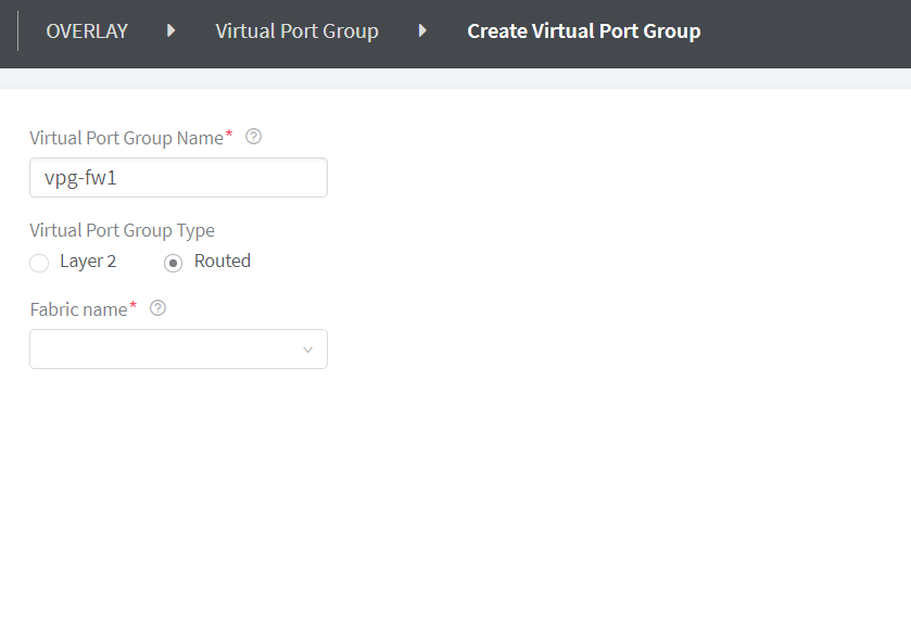 Create Routed Virtual Port Group