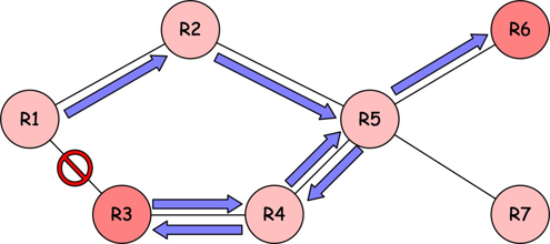 SR Networks 中的不理想转发