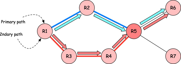 Resulting SR-TE LSPs