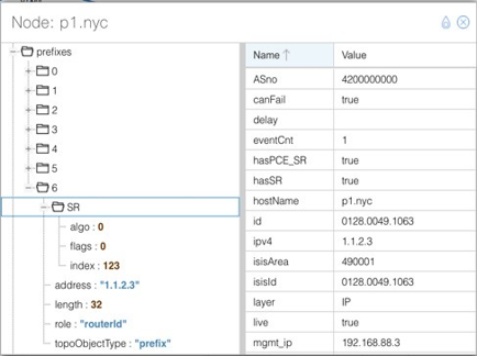 ノードのプロパティエニィキャスト SID を表示する