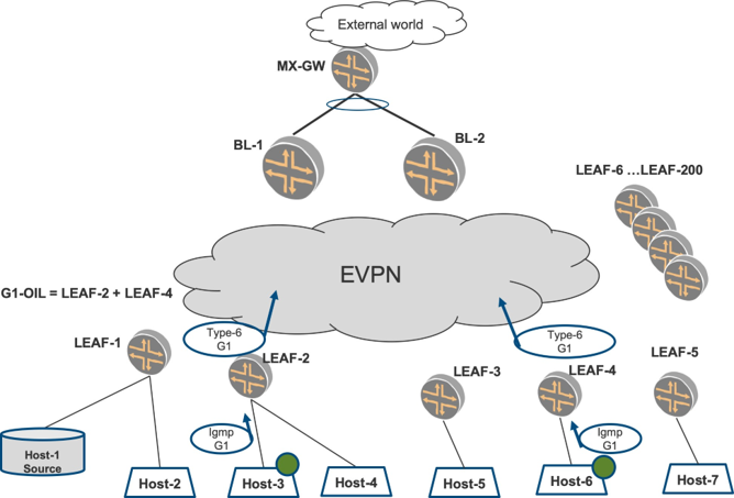 BGP EVPN タイプ-6 ルート