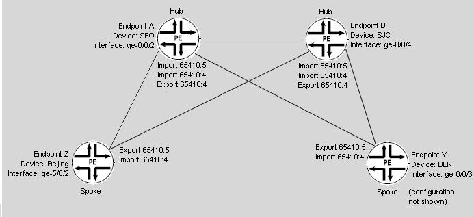 Point-to-Multipoint Service
with Two Hubs