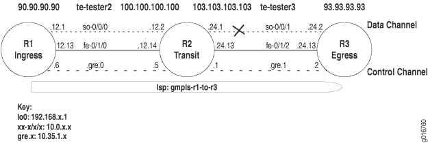 GMPLS ネットワーク トポロジー