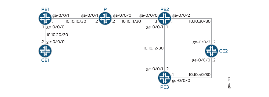코로게이션된 프로텍터 모델에서 PLR 및 프로텍터 공동 위치