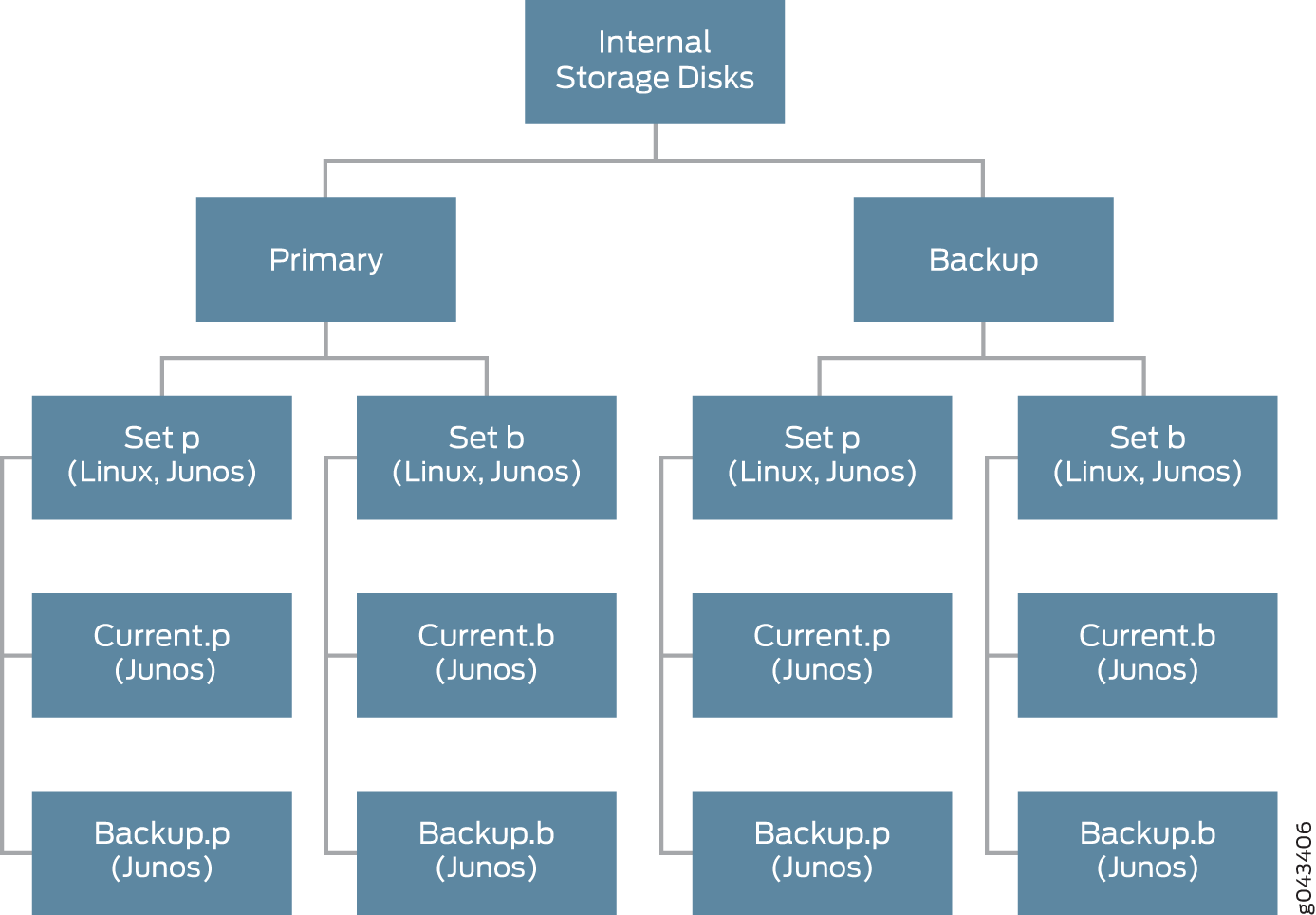 Hierarchical structure of internal storage disks for a Linux and Junos system divided into Primary and Backup categories.