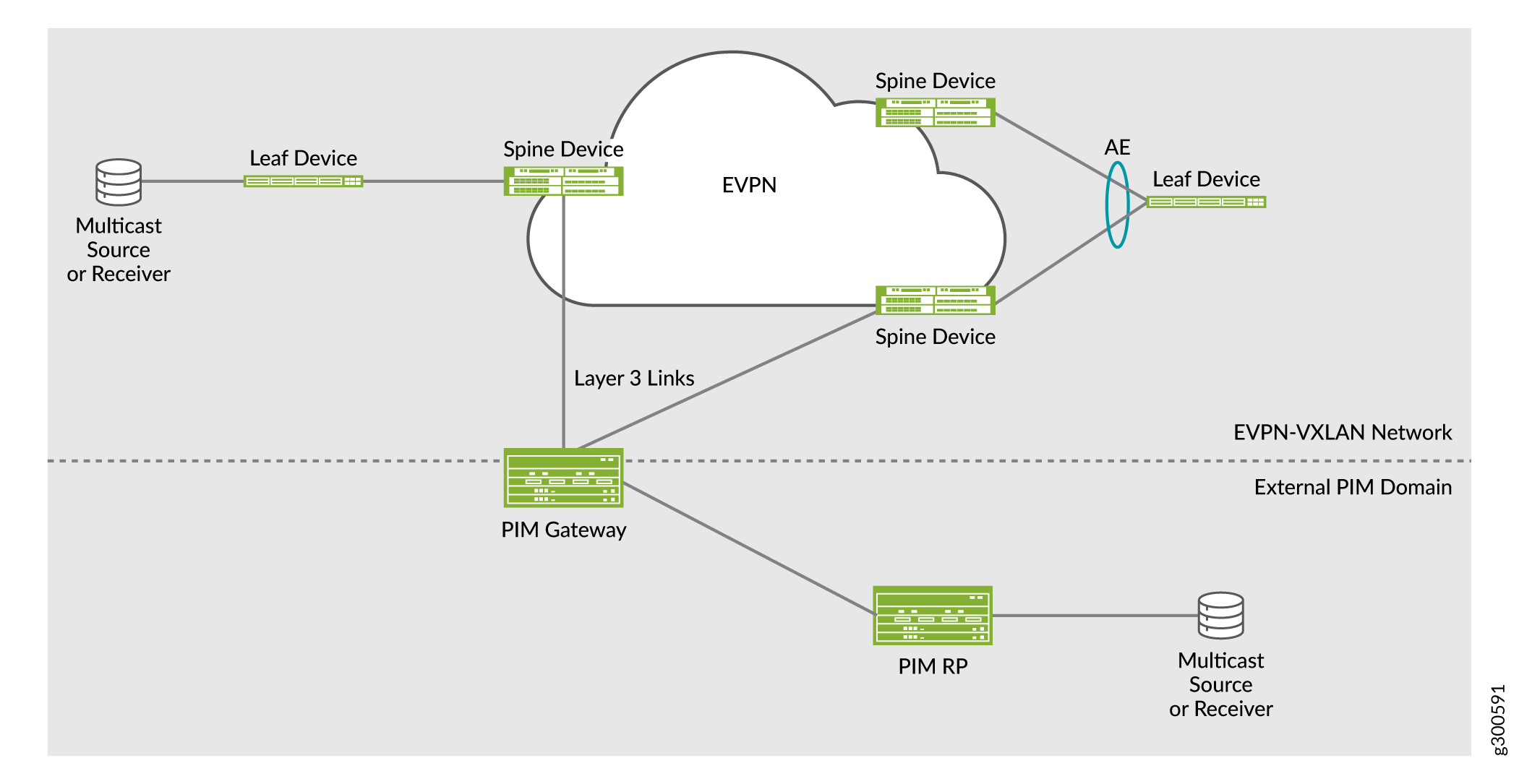 Use Case 4: PIM Gateway with Layer 3 Connectivity—Key Components
