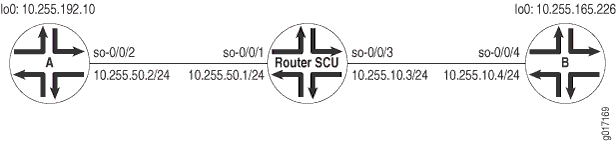 Схема топологии SCU