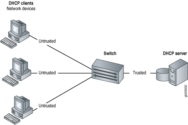 DHCP Server Connected Directly to a Switch