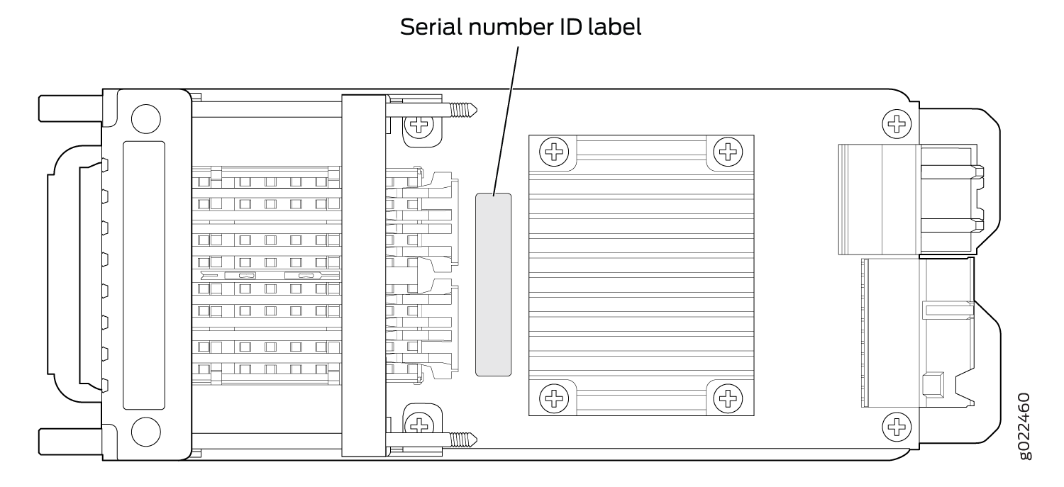 Location of the Serial Number ID Label on the 2-Port 40-Gigabit Ethernet QSFP+/100-Gigabit Ethernet QSFP28 Uplink Module for EX4300-48MP Switches