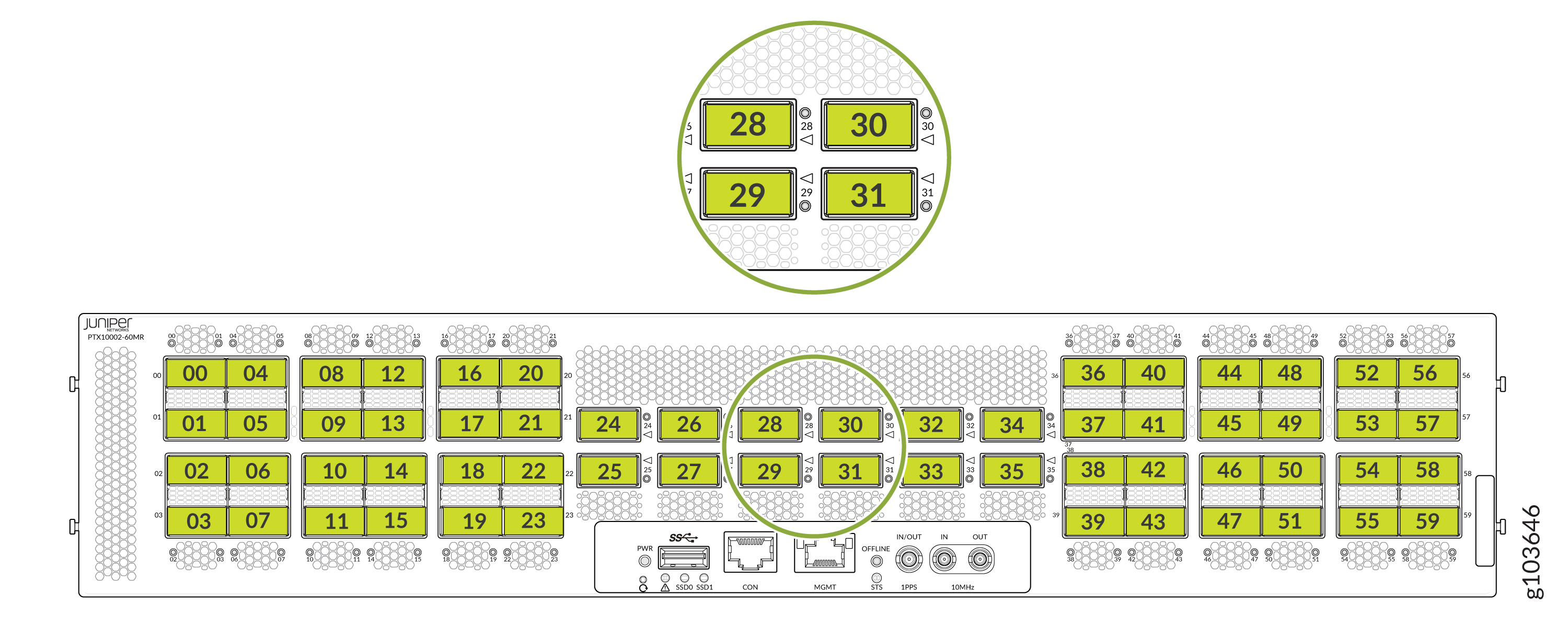 LEDs on the 12 QSFP112 DD ports