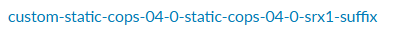 Custom static label: custom-static-cops-04-0-static-cops-04-0-srx1-suffix.