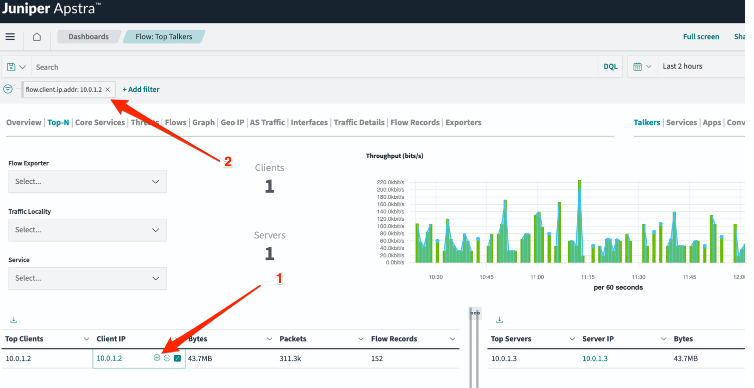 Example of Top-N Talkers