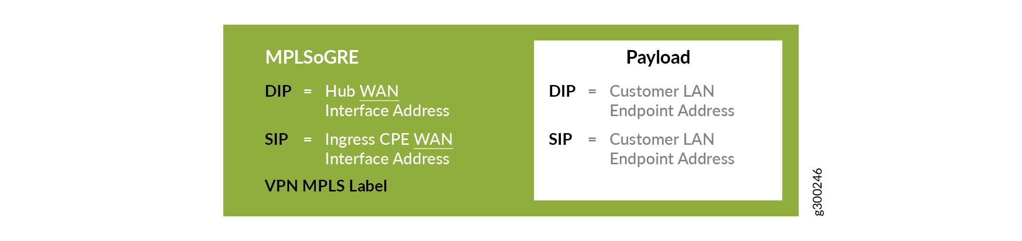 Packet Header - MPLSoGRE