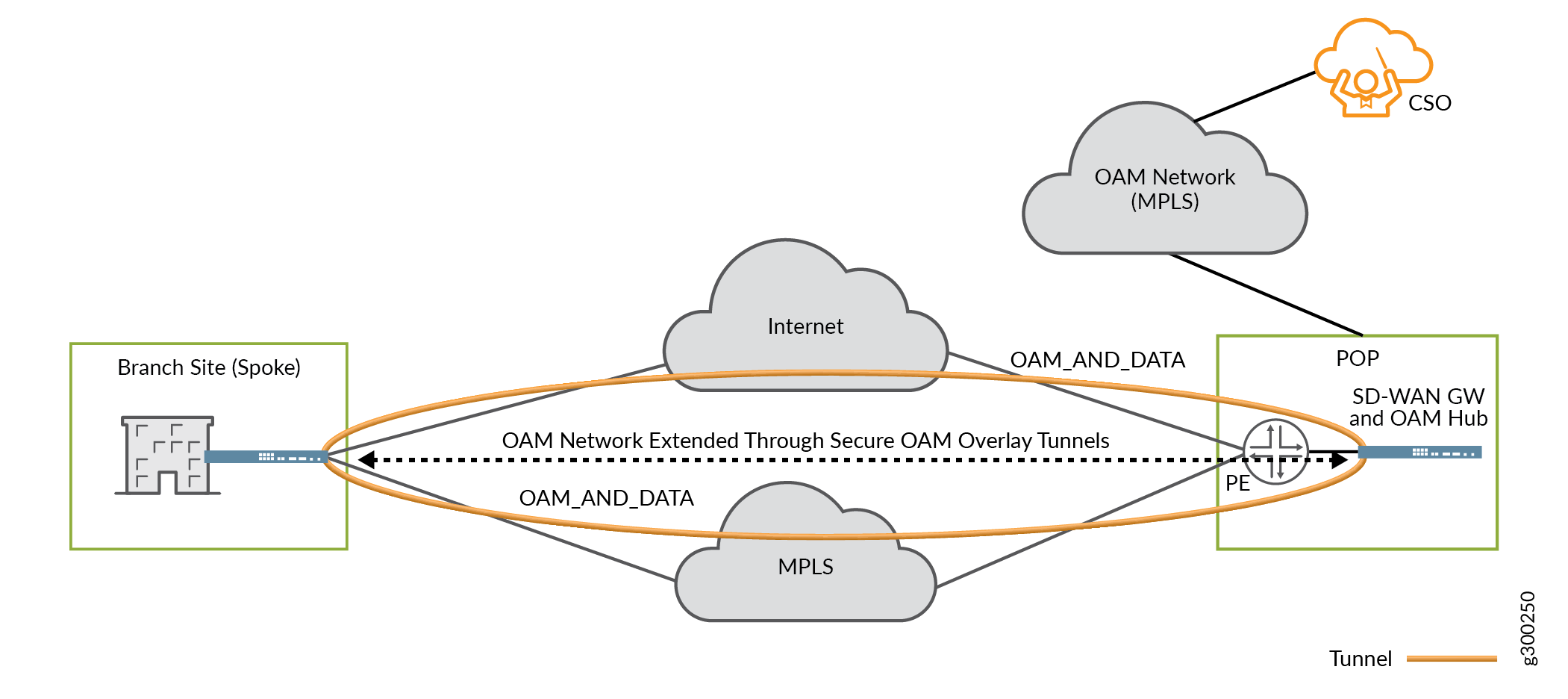 Management and Control Plane Security - Secure OAM Network