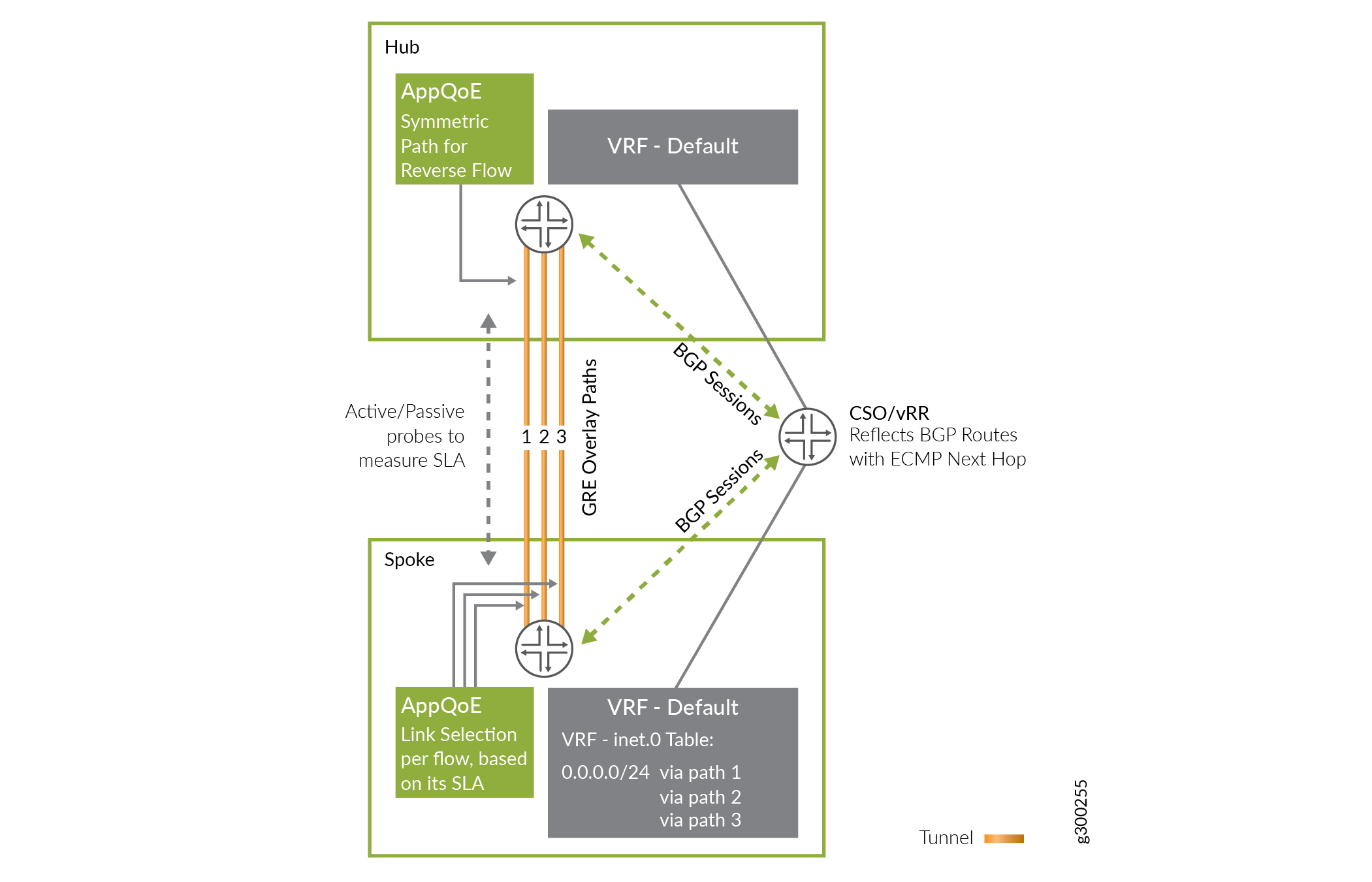 Real-Time Optimized (AppQoE) Routing Architecture