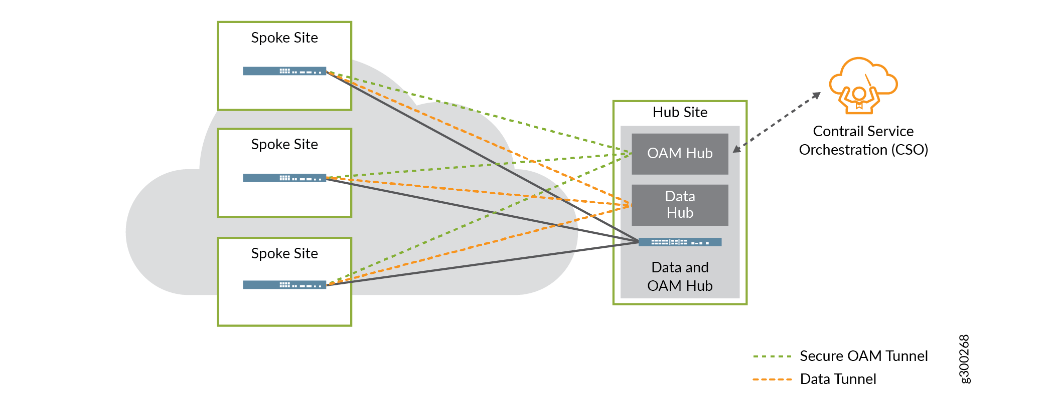 OAM Tunnels in the Hub-and-Spoke Topology