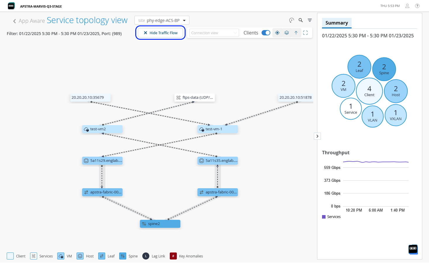 Network visualization of Service Topology View showing nodes, connections, and traffic flow on the selected site.