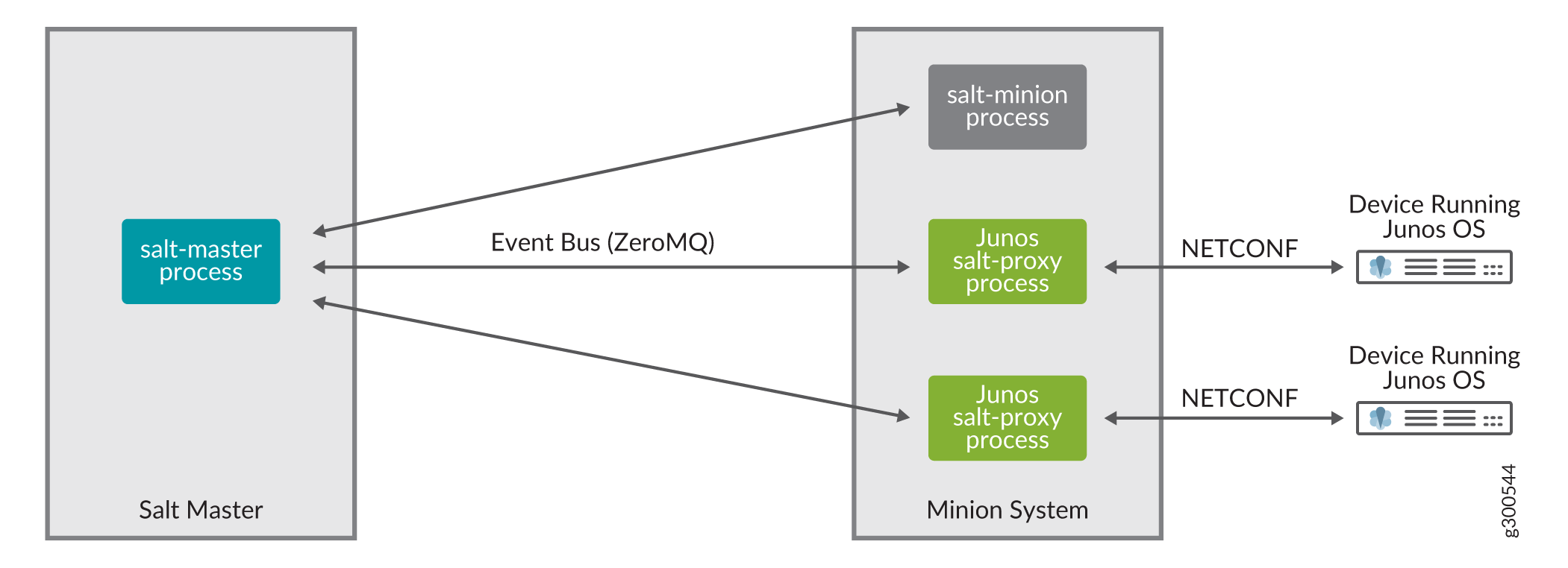 Junos Proxy Minion Separate Server Architecture