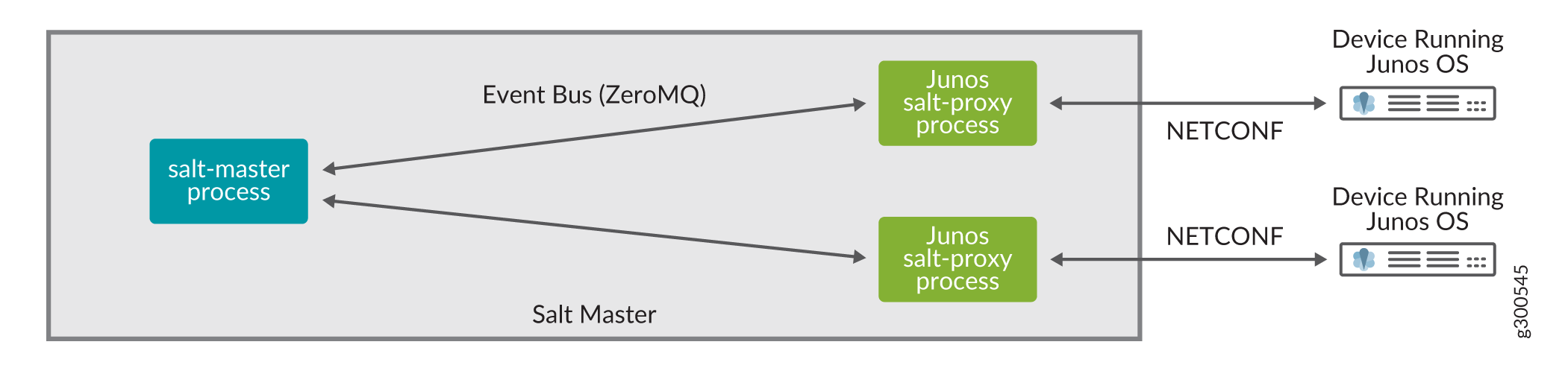 Junos Proxy Minions Same Server Architecture
