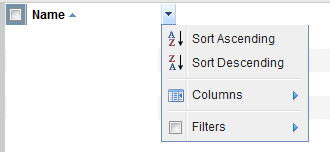 Dropdown menu for Name column with options: Sort Ascending, Sort Descending, Columns, Filters.
