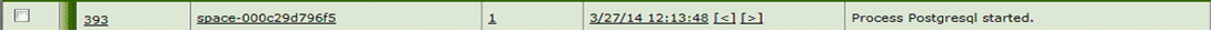 Log entry 393 showing space-000c29d796f5 with timestamp 3/27/14 12:13:48. PostgreSQL process started.