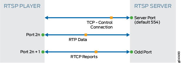 RTSP ALG Standard Mode