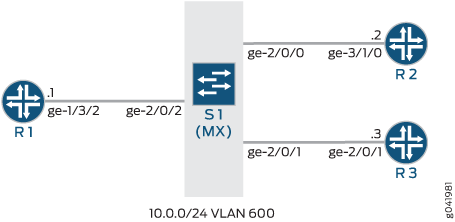 Basic Layer 2 Switching