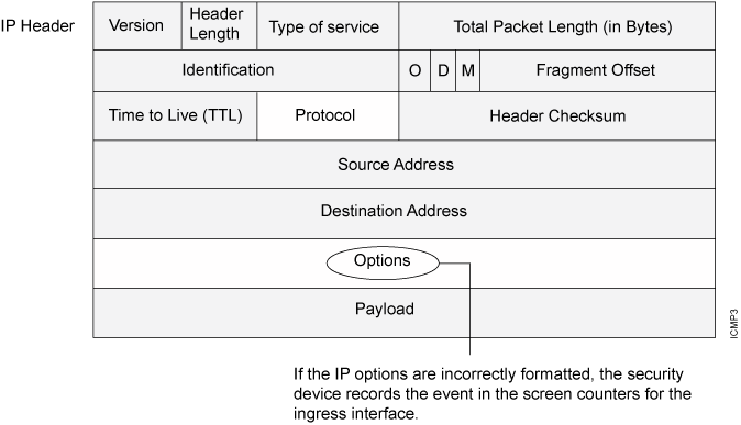 Incorrectly Formatted IP Options