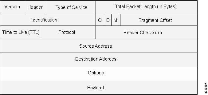Routing Options