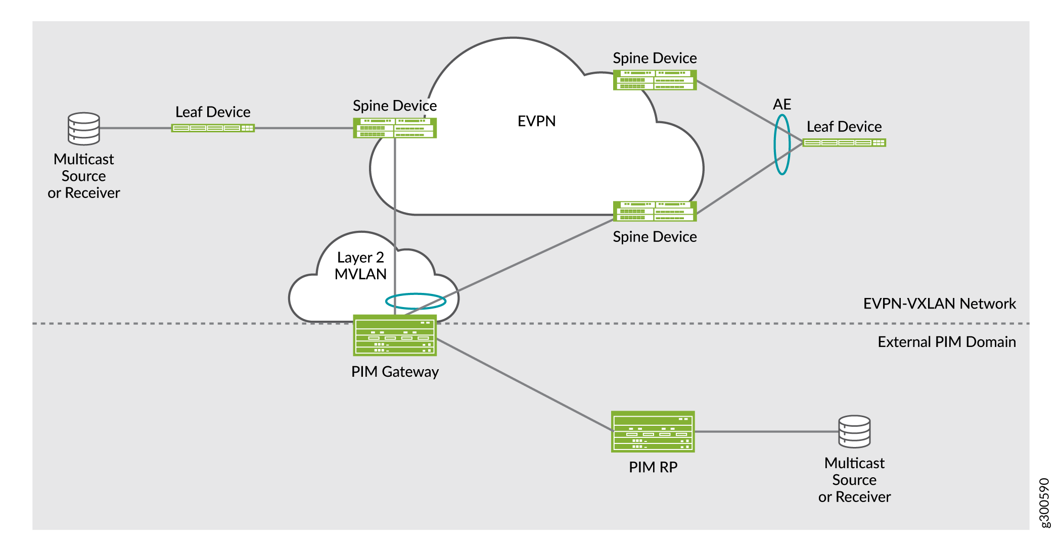 Use Case 3: PIM Gateway with Layer 2 Connectivity—Key Components